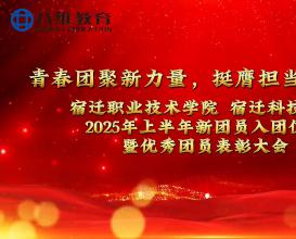 党旗领航青春路，团徽闪耀新青年 
