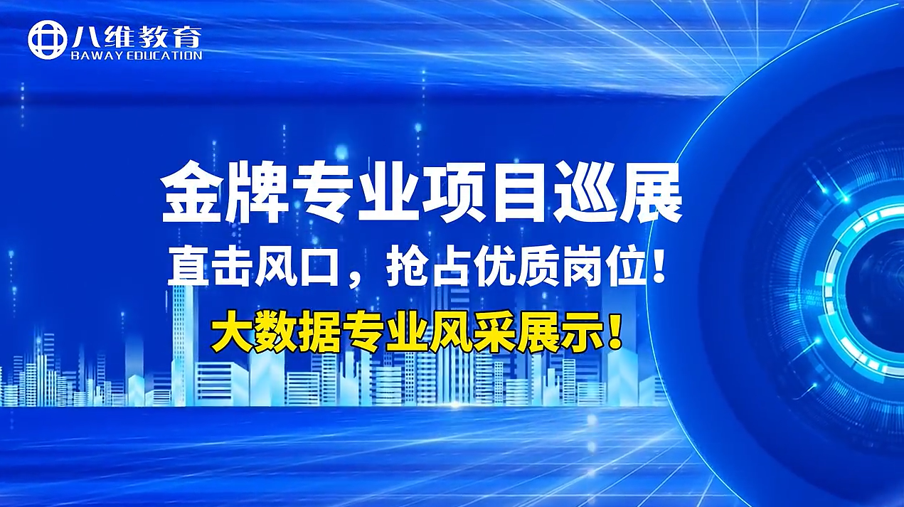 八维大数据金牌专业项目展示