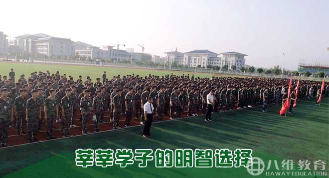 在八维，我的2017