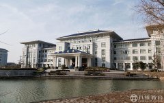 2019年专科什么专业好，学IT可以吗？