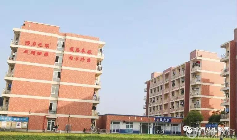 【师者】辗转多地，紧盯就业，关注每一位学生的发展！