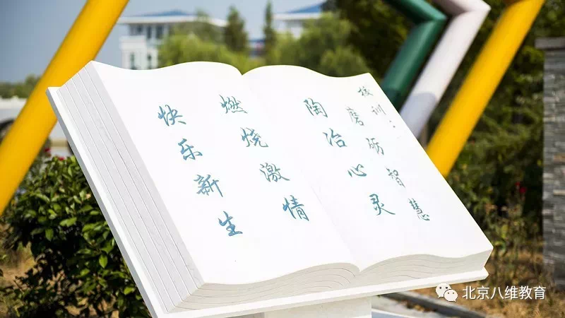 八维成长路，放飞八维梦